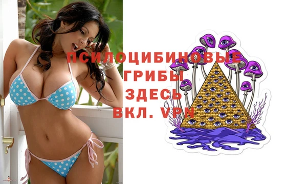 экстази Гусев