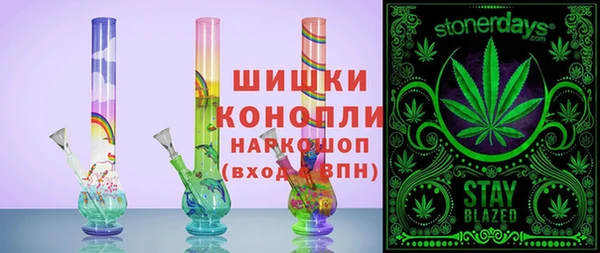 гидра Горнозаводск