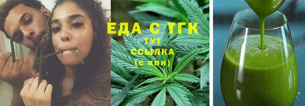 гидра Горнозаводск