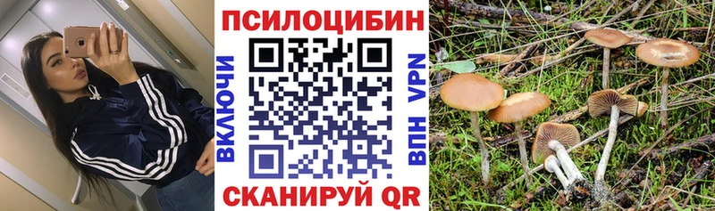Псилоцибиновые грибы GOLDEN TEACHER  Ефремов 